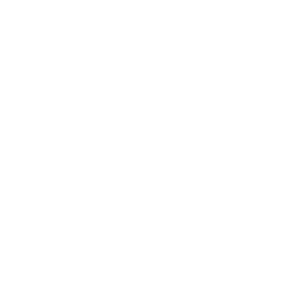 DuwamishTribesIcon
