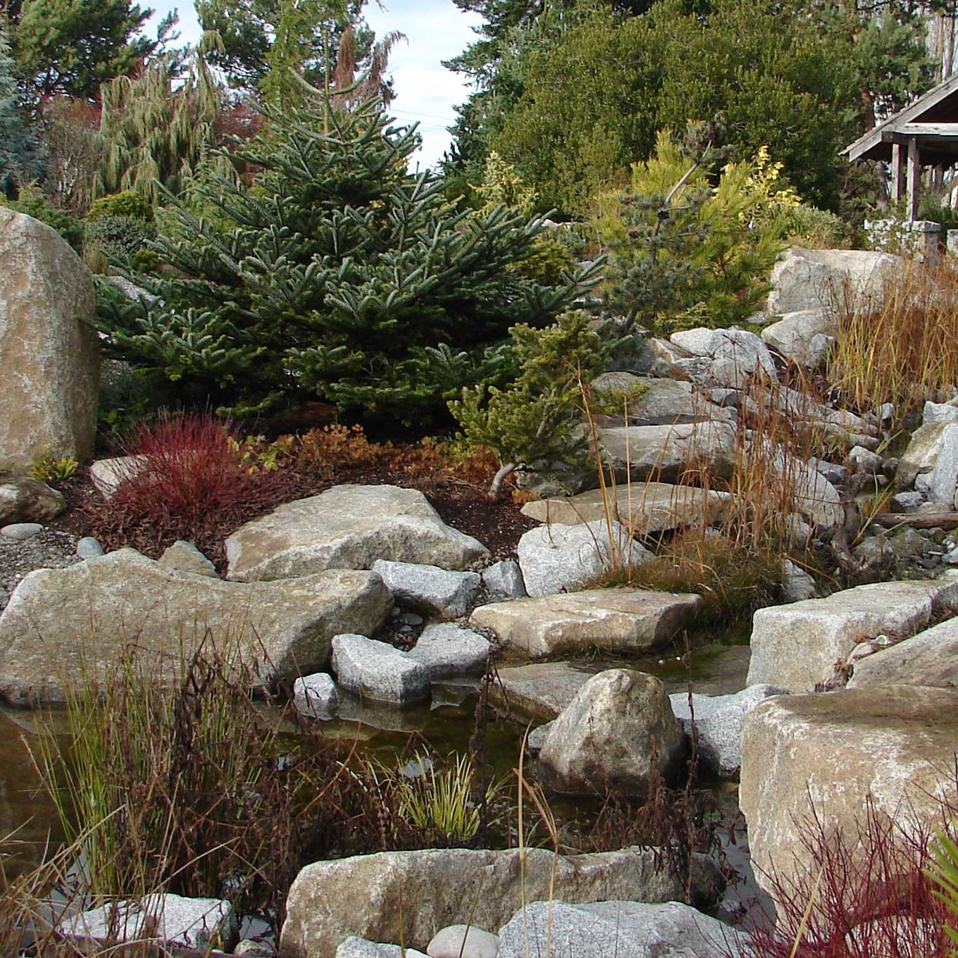 South Seattle Arboretum